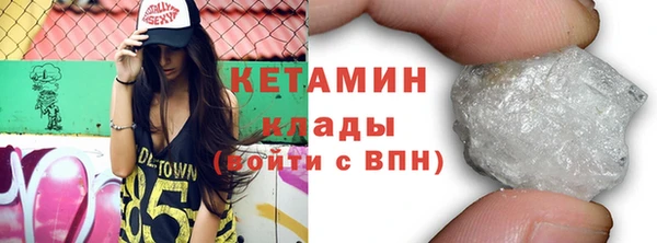 амф Дмитриев