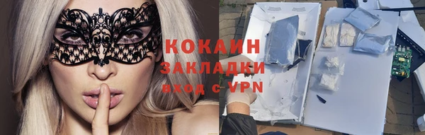 амф Дмитриев