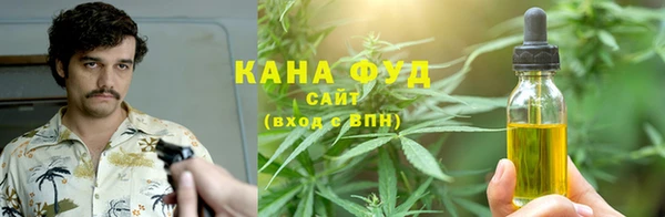 меф Ельня