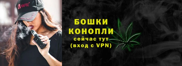 СК Дмитров