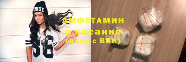 амф Дмитриев