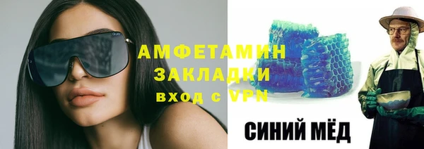 амф Дмитриев