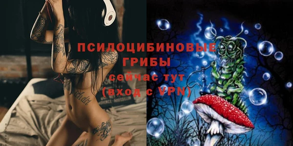 амф Дмитриев