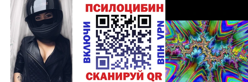 Галлюциногенные грибы MAGIC MUSHROOMS Купить где Канск